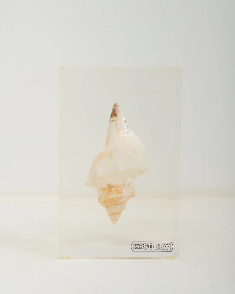 Inclusion coquillage, Sobry, 1970s