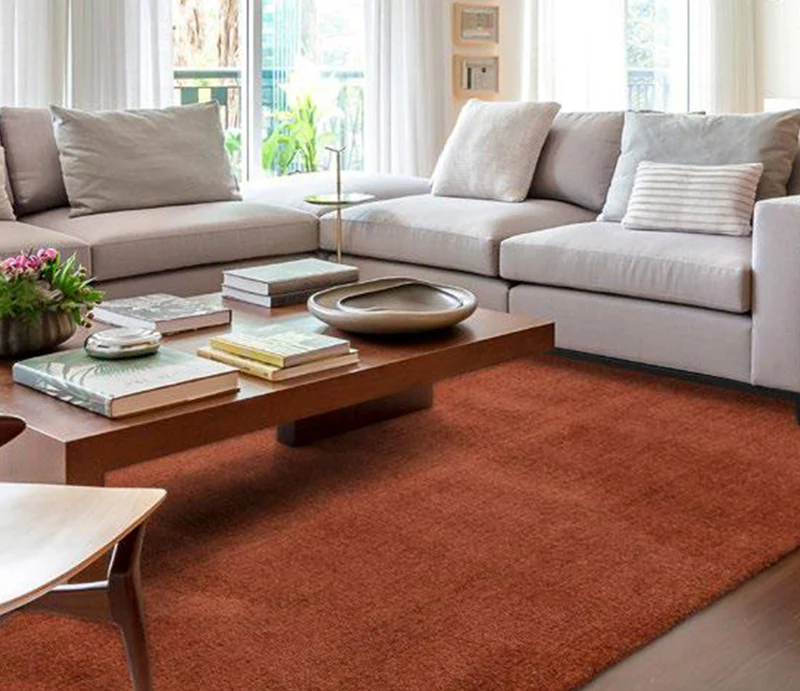 Tapis salon lavable en machine marron uni - Touch