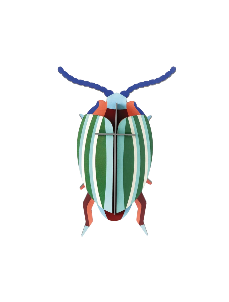 Rainbow Leaf Beetle Studio Roof