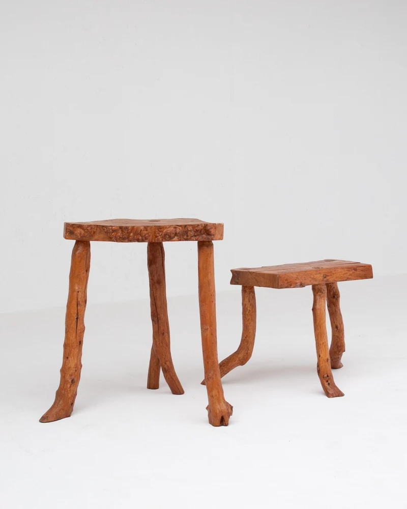 Organic Rootwood Side Tables Set