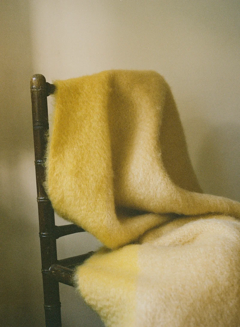 Edition 02 - BRUME AMBRE