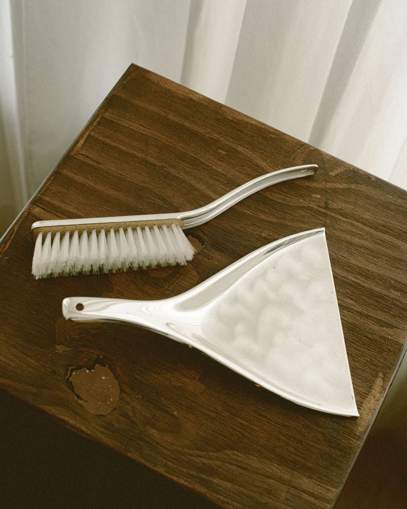 WMF Ikora Table Pan & Brush