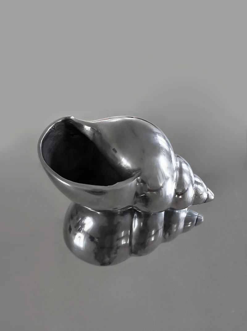 Shell Sculpture
