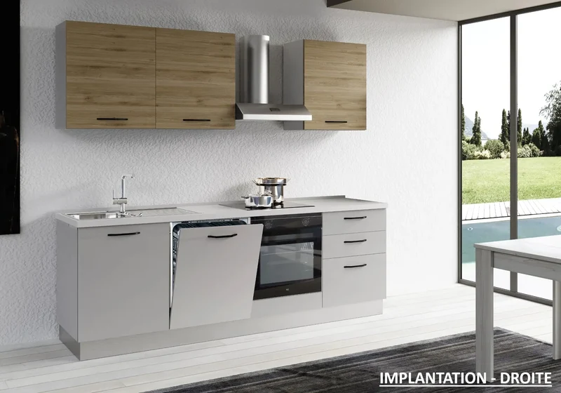 Cuisine Équipée Gris Chêne STAR 240 - Électroménager Inclus