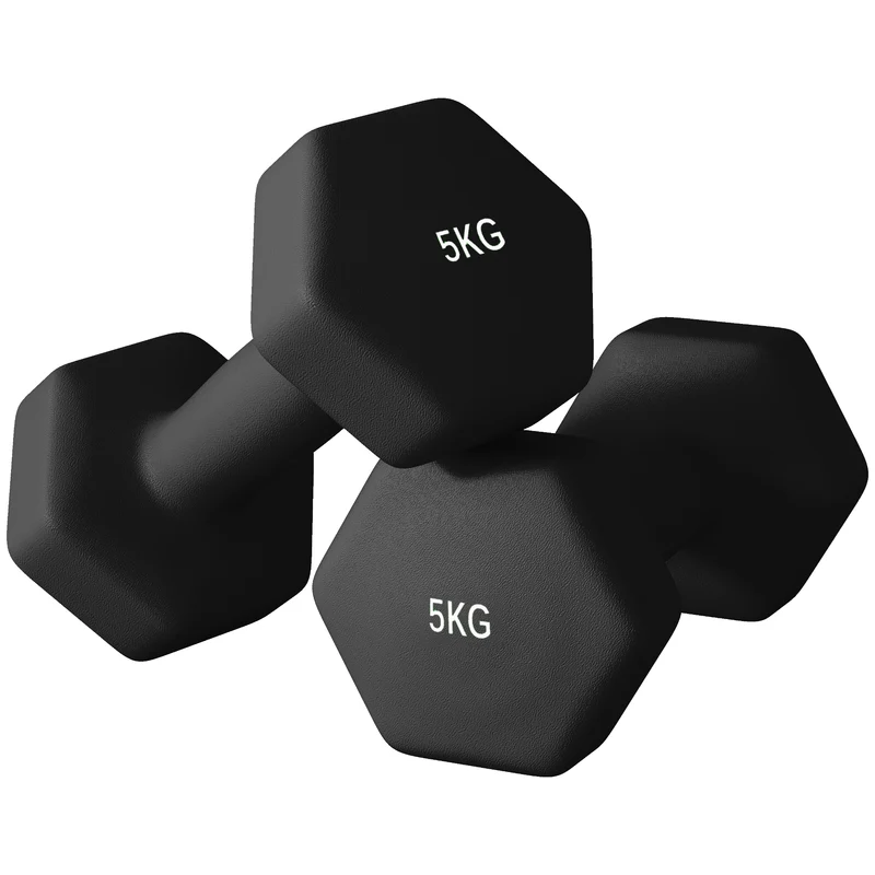 Lot de 2 haltères hexagonales maison 20 x 9 x 9 cm poignées antidérapantes compactes anti-roulage design en métal noir 21_0006831
