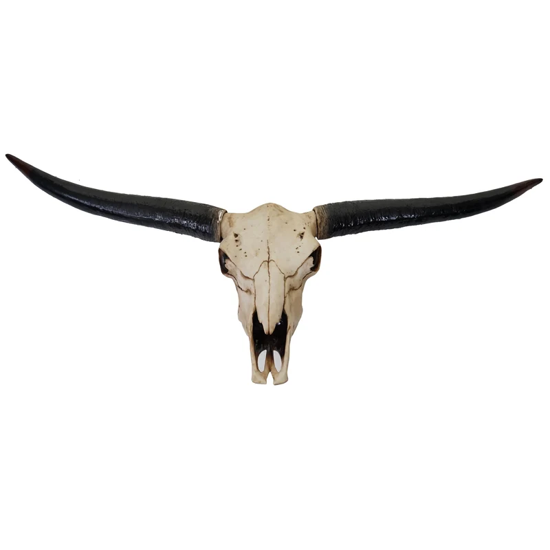Crâne décoratif 132cm trophée tête de taureau longhorn en polyrésine intérieur/extérieur couleur naturelle 04_0002845