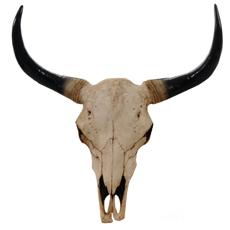 Tête de mort décorative 64cm trophée tête de taureau longhorn polyrésine intérieur/extérieur naturel 04_0002841