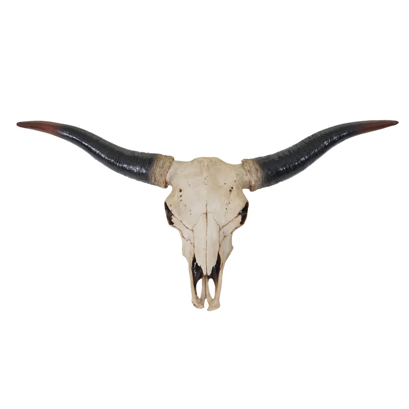 Tête de taureau décoration murale 75cm trophée longhorn en polyrésine intérieur/extérieur naturel 04_0002852
