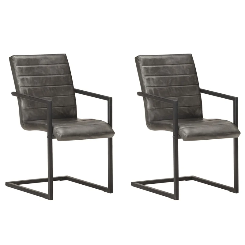 Lot de 2 chaises de salle à manger cuisine cantilever design rétro cuir véritable gris CDS020323