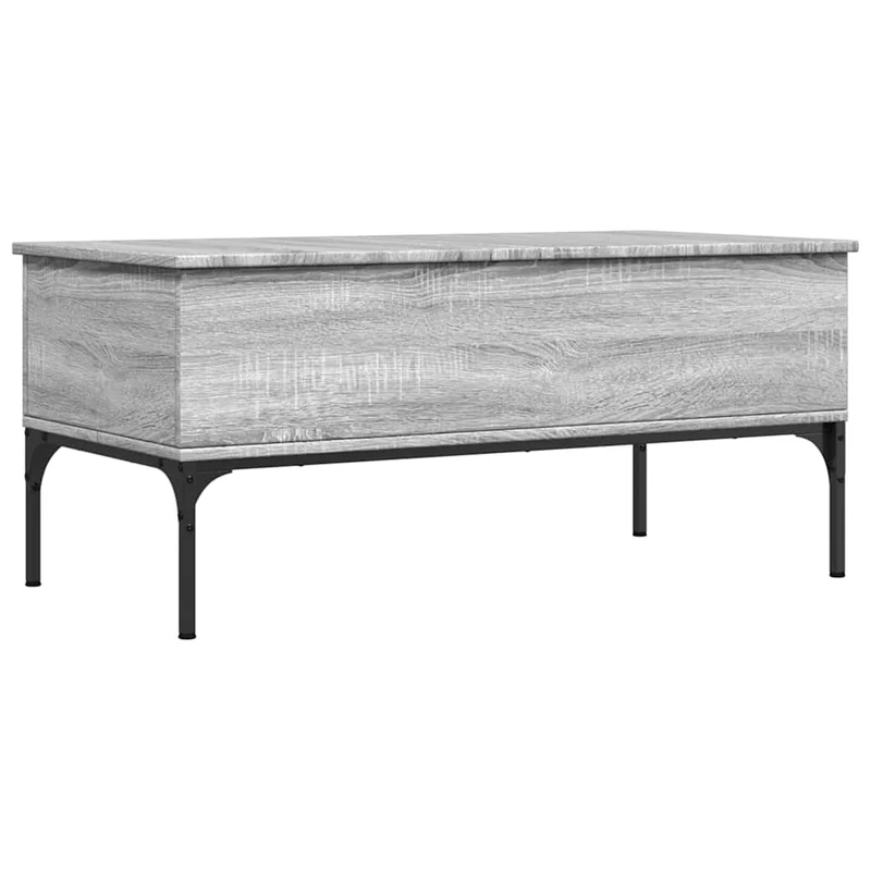 Table basse avec 2 compartiments cachés 100 x 50 x 45 cm bois d'ingénierie gris et métal DEC039953