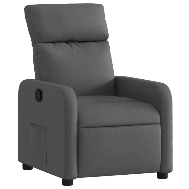 Fauteuil relax TV rembourrage confortable fonction d'inclinaison manuelle en tissu gris foncé DEC027944