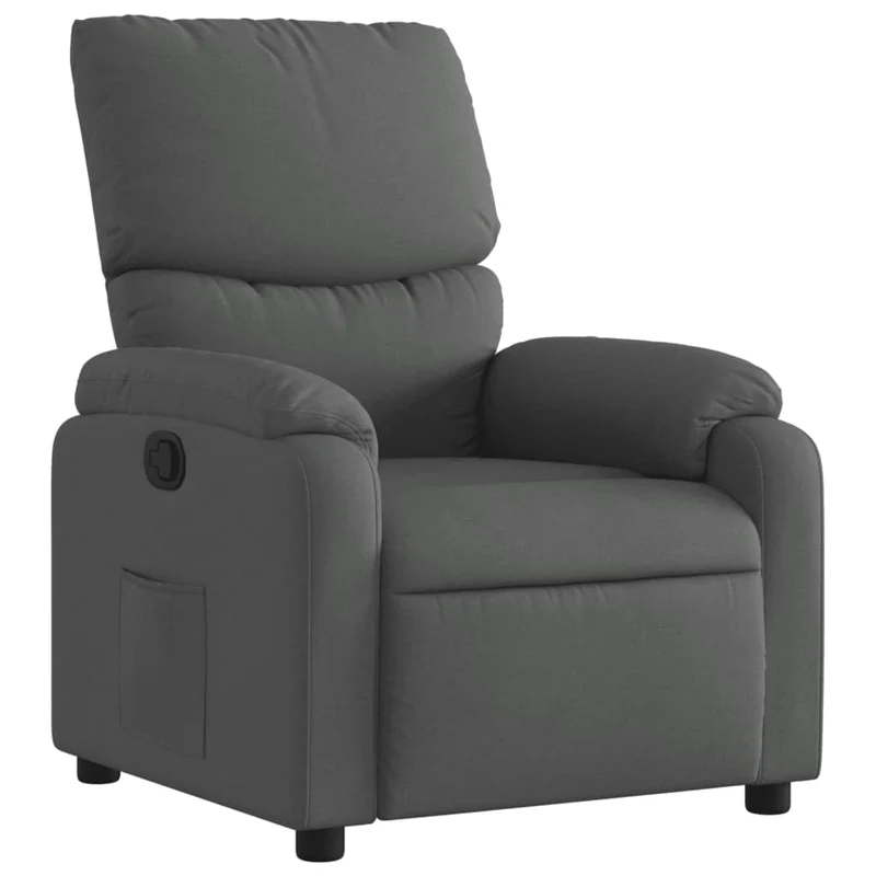 Fauteuil relax TV rembourrage confortable fonction d'inclinaison manuelle en tissu gris foncé DEC027930