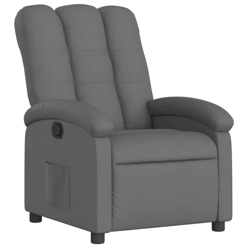 Fauteuil relax TV rembourrage confortable fonction d'inclinaison manuelle en tissu gris foncé DEC027949