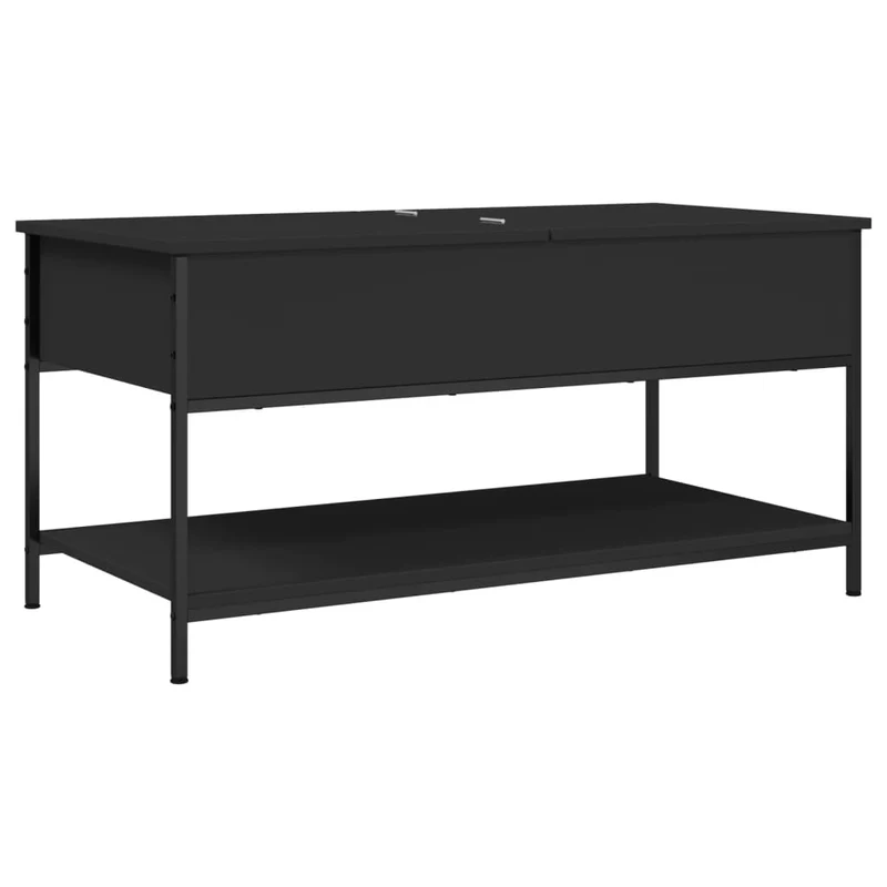 Table basse avec grand espace de rangement design moderne et contemporaine 100 x 50 x 50 cm bois d'ingénierie noir et métal DEC039566